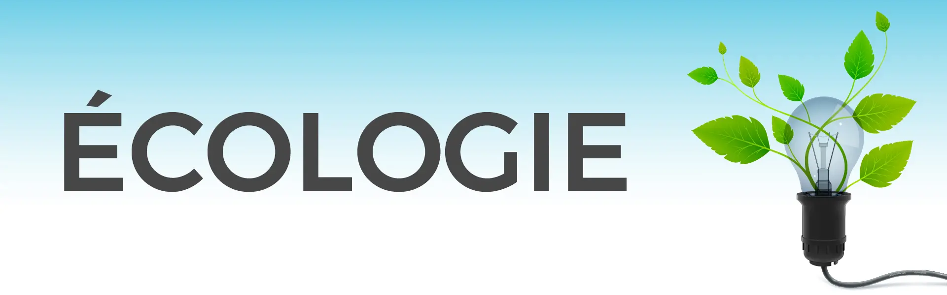 1000 et 1 objets publicitaires personnalisés, goodies écologiques personnalisés, éco-responsable, RSE, recyclés, recyclables